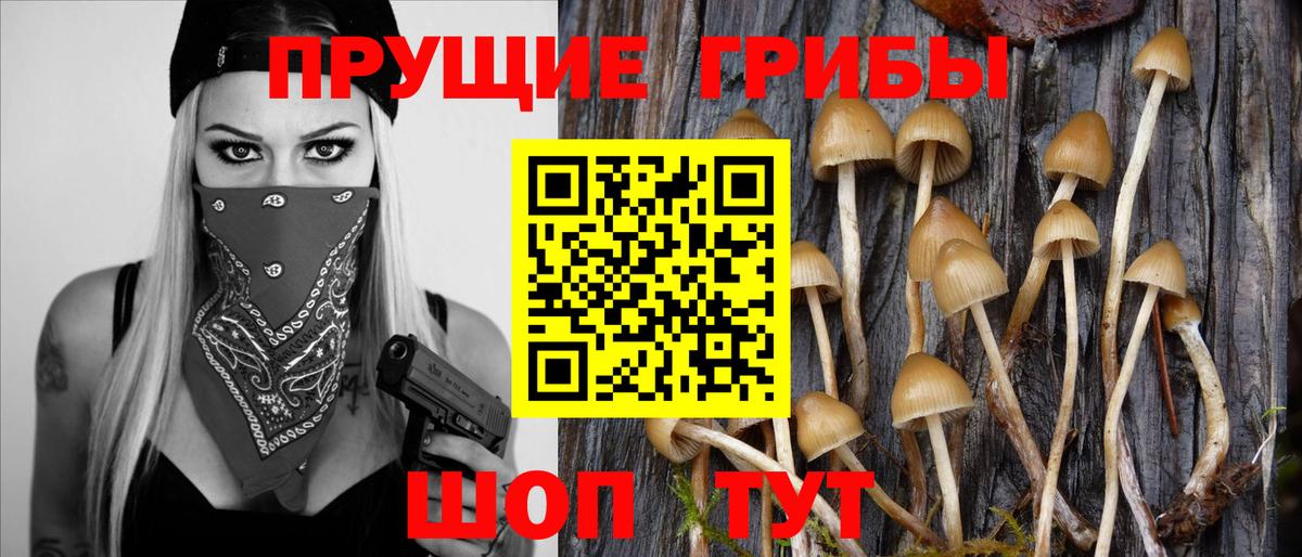 Псилоцибиновые грибы GOLDEN TEACHER  Галлюциногенные грибы ЛСД  Вход с VPN  продажа наркотиков  Воткинск 