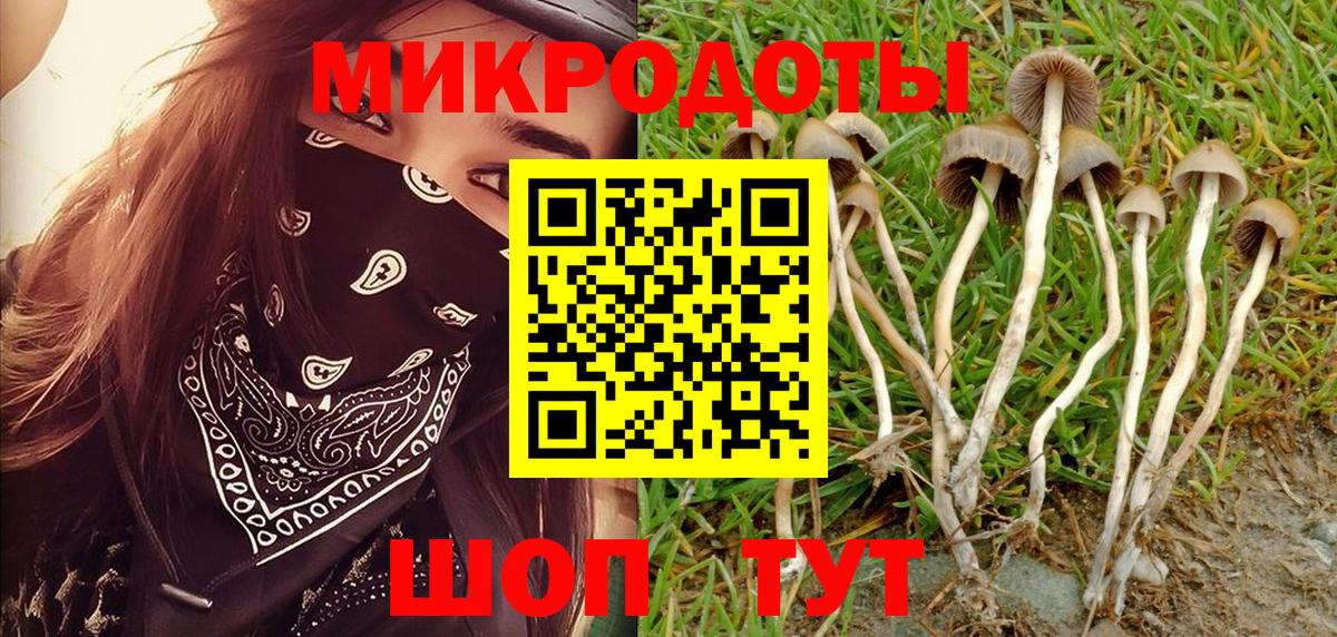 Псилоцибиновые грибы ЛСД Воткинск